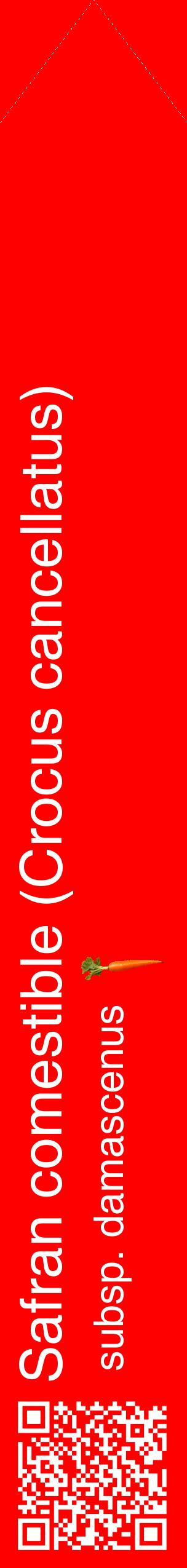 Étiquette de : Crocus cancellatus subsp. damascenus - format c - style blanche27_simplehel avec qrcode et comestibilité simplifiée