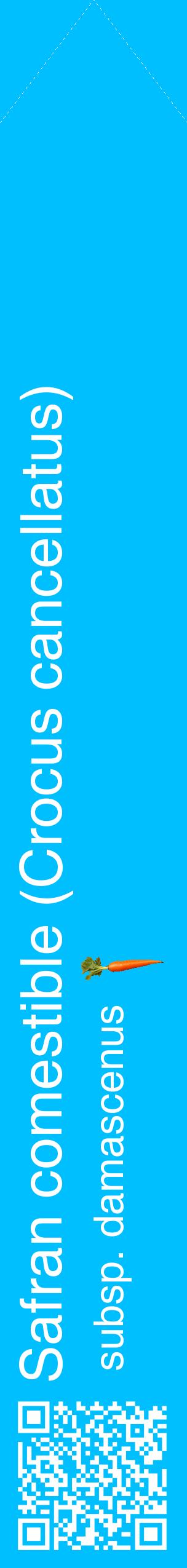 Étiquette de : Crocus cancellatus subsp. damascenus - format c - style blanche2_simplehel avec qrcode et comestibilité simplifiée