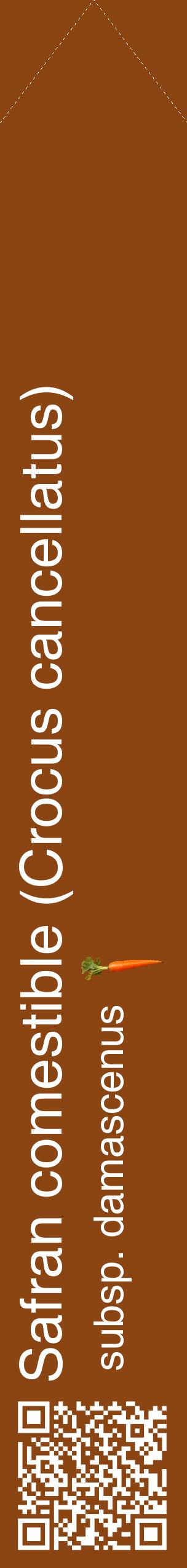 Étiquette de : Crocus cancellatus subsp. damascenus - format c - style blanche30_simplehel avec qrcode et comestibilité simplifiée