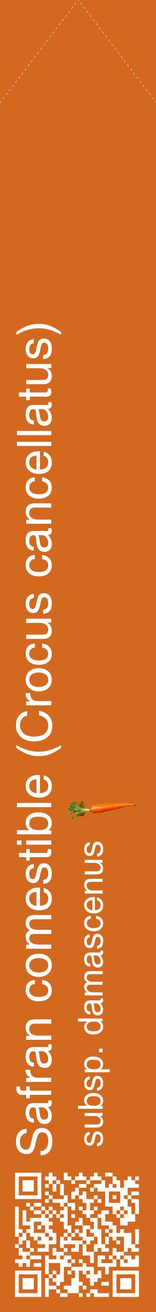 Étiquette de : Crocus cancellatus subsp. damascenus - format c - style blanche31_simplehel avec qrcode et comestibilité simplifiée