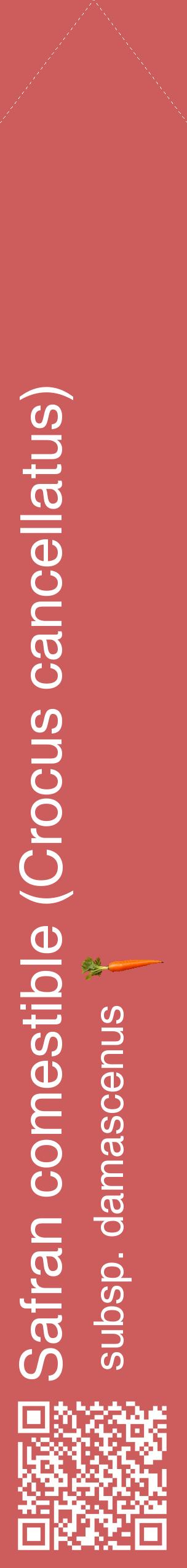 Étiquette de : Crocus cancellatus subsp. damascenus - format c - style blanche35_simplehel avec qrcode et comestibilité simplifiée