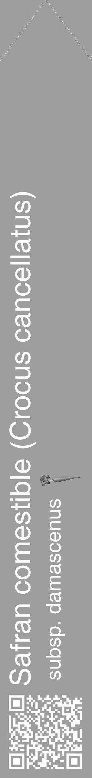Étiquette de : Crocus cancellatus subsp. damascenus - format c - style blanche42_simple_simplehel avec qrcode et comestibilité simplifiée - position verticale