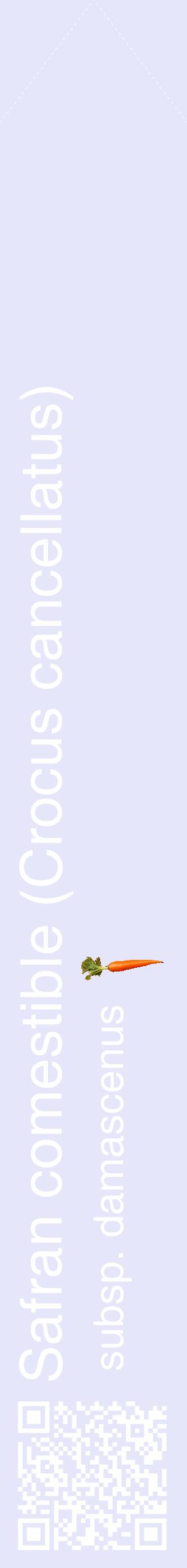 Étiquette de : Crocus cancellatus subsp. damascenus - format c - style blanche55_simplehel avec qrcode et comestibilité simplifiée