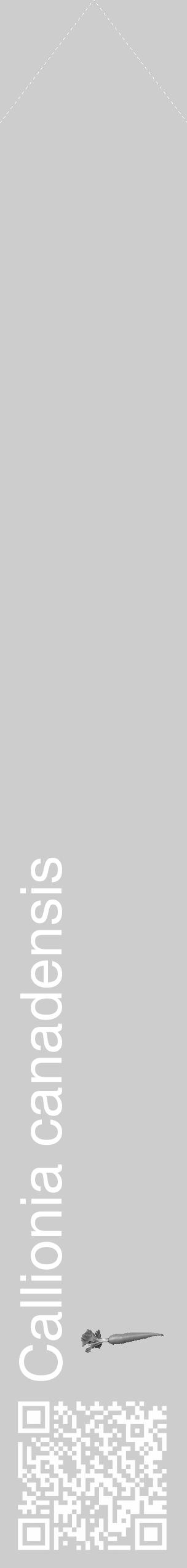 Étiquette de : Callionia canadensis - format c - style blanche41_simple_simplehel avec qrcode et comestibilité simplifiée - position verticale
