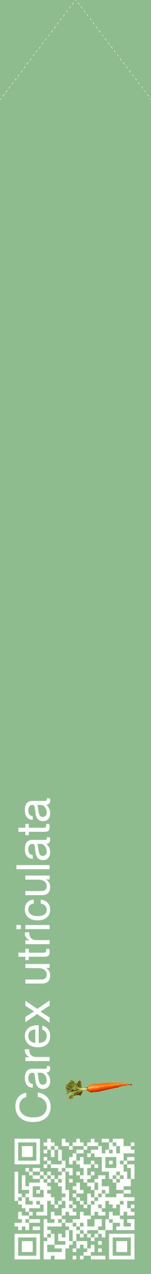 Étiquette de : Carex utriculata - format c - style blanche13_simplehel avec qrcode et comestibilité simplifiée