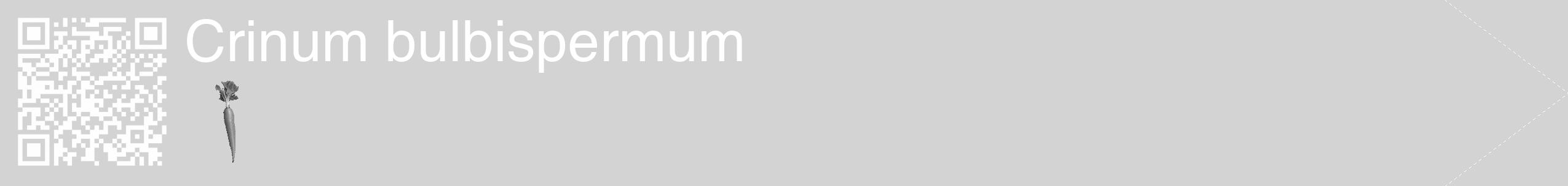 Étiquette de : Crinum bulbispermum - format c - style blanche56_simple_simplehel avec qrcode et comestibilité simplifiée