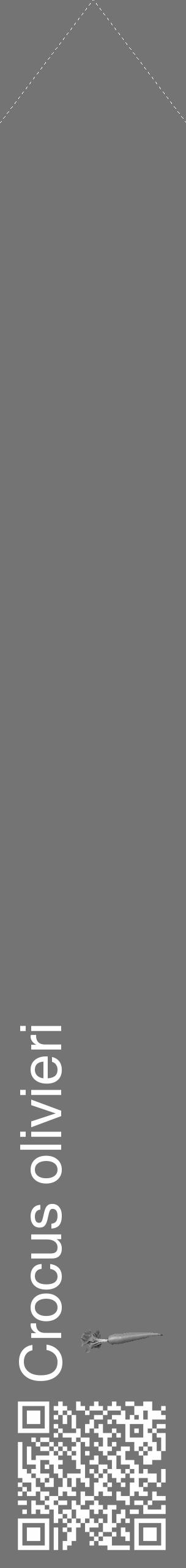 Étiquette de : Crocus olivieri - format c - style blanche26_simple_simplehel avec qrcode et comestibilité simplifiée - position verticale