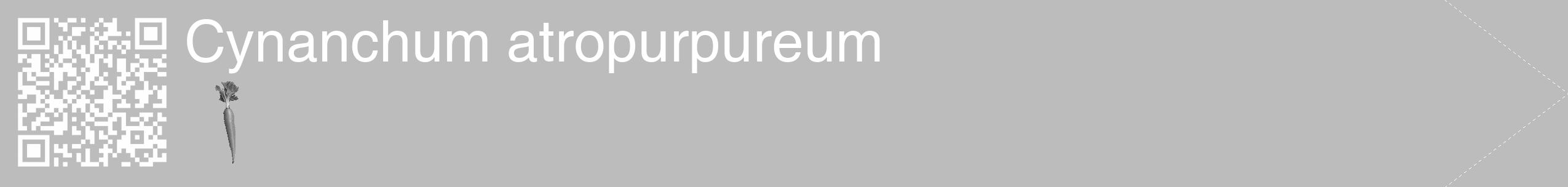 Étiquette de : Cynanchum atropurpureum - format c - style blanche1_simple_simplehel avec qrcode et comestibilité simplifiée