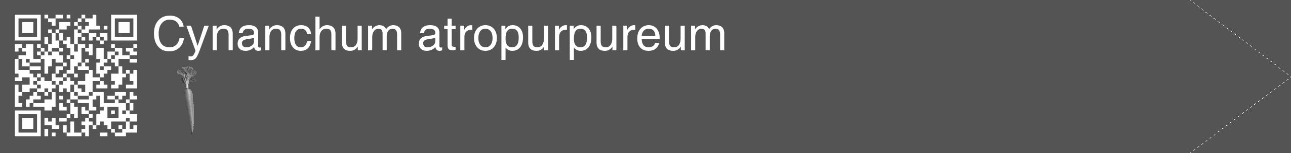 Étiquette de : Cynanchum atropurpureum - format c - style blanche30_simple_simplehel avec qrcode et comestibilité simplifiée
