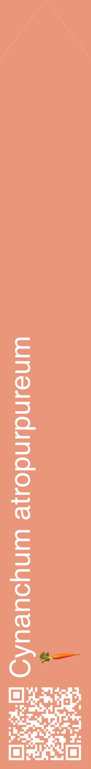 Étiquette de : Cynanchum atropurpureum - format c - style blanche37_simplehel avec qrcode et comestibilité simplifiée