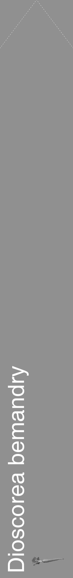 Étiquette de : Dioscorea bemandry - format c - style blanche4_simple_simplehel avec comestibilité simplifiée - position verticale