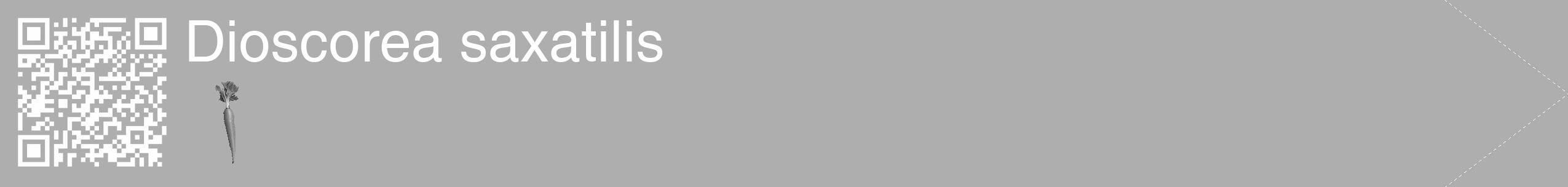 Étiquette de : Dioscorea saxatilis - format c - style blanche53_simple_simplehel avec qrcode et comestibilité simplifiée