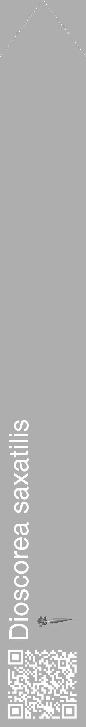 Étiquette de : Dioscorea saxatilis - format c - style blanche53_simple_simplehel avec qrcode et comestibilité simplifiée - position verticale