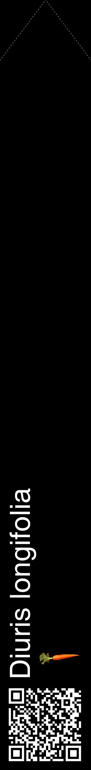 Étiquette de : Diuris longifolia - format c - style blanche59_simplehel avec qrcode et comestibilité simplifiée