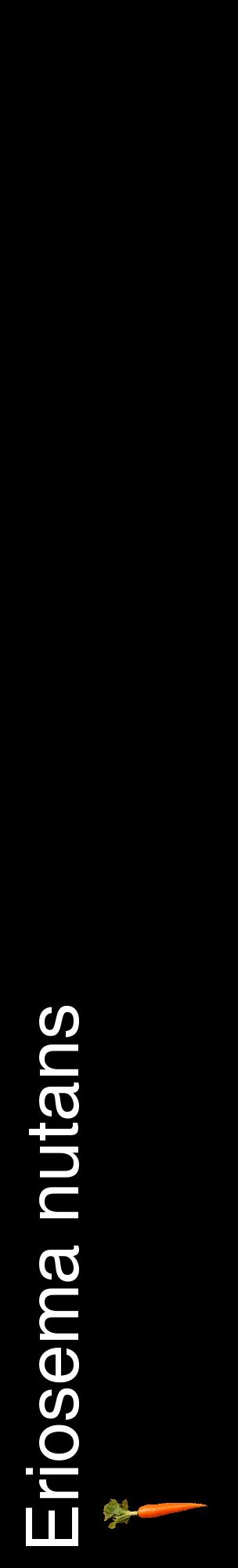 Étiquette de : Eriosema nutans - format c - style blanche59_basiquehel avec comestibilité simplifiée