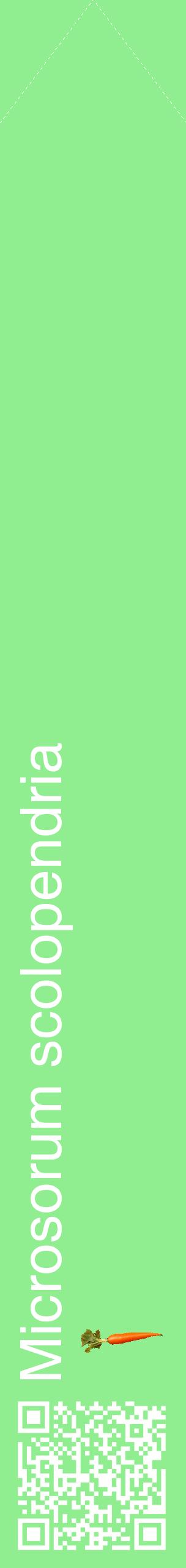 Étiquette de : Microsorum scolopendria - format c - style blanche15_simplehel avec qrcode et comestibilité simplifiée