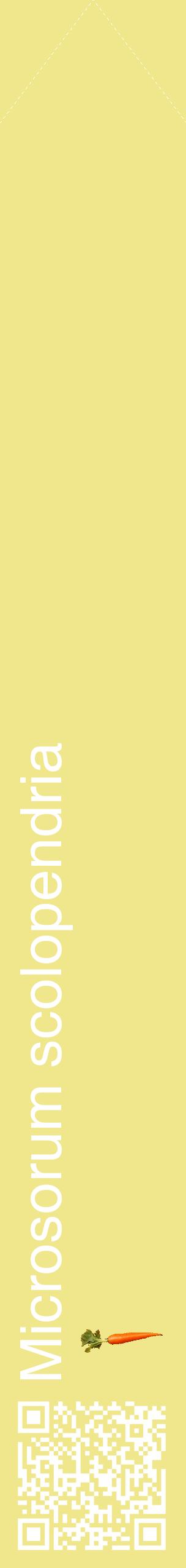 Étiquette de : Microsorum scolopendria - format c - style blanche20_simplehel avec qrcode et comestibilité simplifiée
