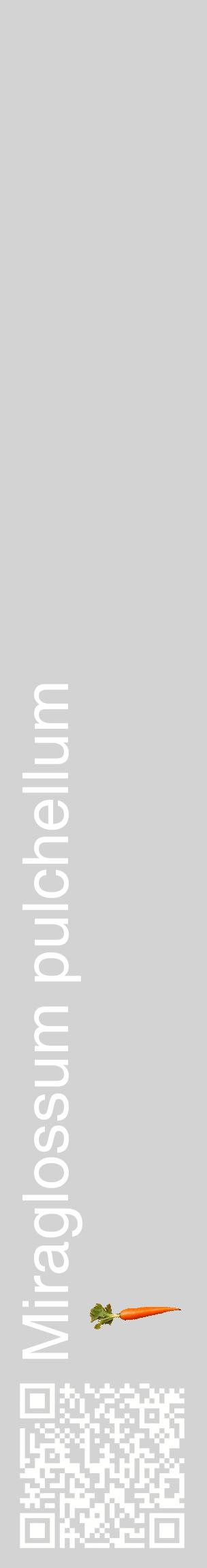 Étiquette de : Miraglossum pulchellum - format c - style blanche56_basiquehel avec qrcode et comestibilité simplifiée