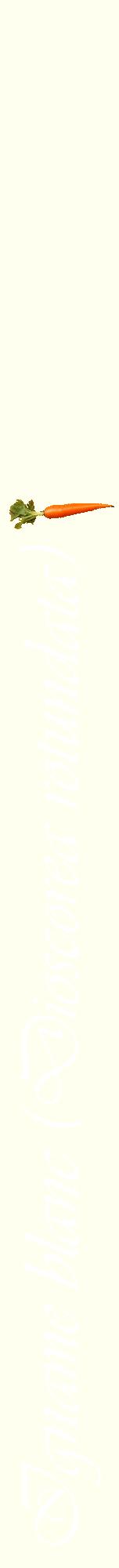 Étiquette de : Dioscorea rotundata - format a - style blanche19viv avec comestibilité simplifiée