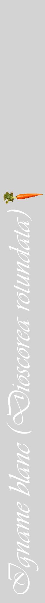 Étiquette de : Dioscorea rotundata - format a - style blanche56viv avec comestibilité simplifiée