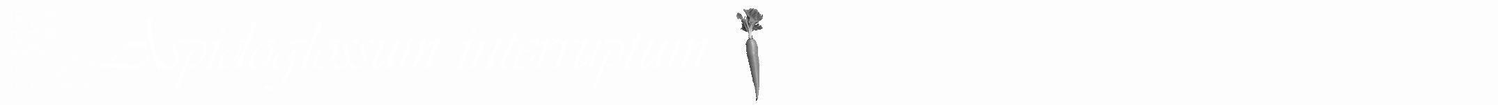 Étiquette de : Aspidoglossum interruptum - format a - style blanche19viv avec qrcode et comestibilité simplifiée