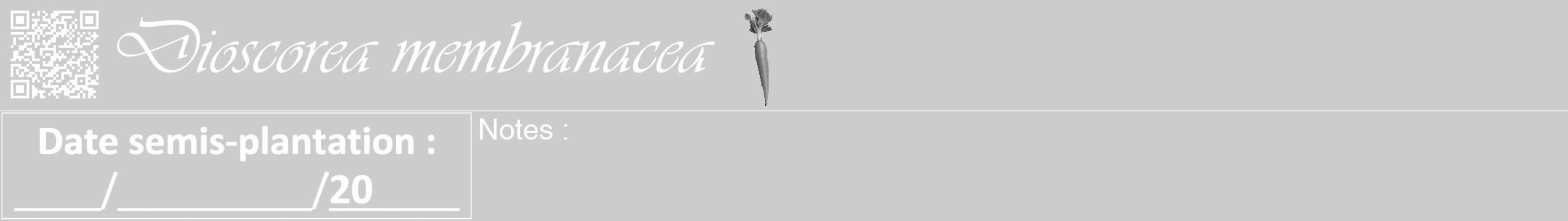 Étiquette de : Dioscorea membranacea - format a - style blanche0viv avec qrcode et comestibilité simplifiée