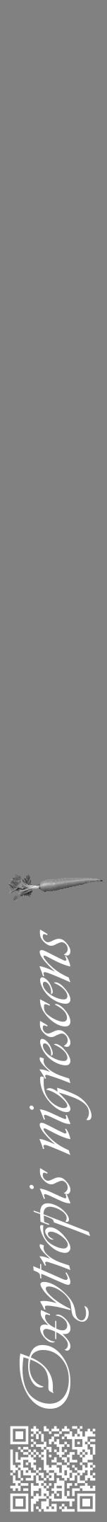 Étiquette de : Oxytropis nigrescens - format a - style blanche50viv avec qrcode et comestibilité simplifiée - position verticale