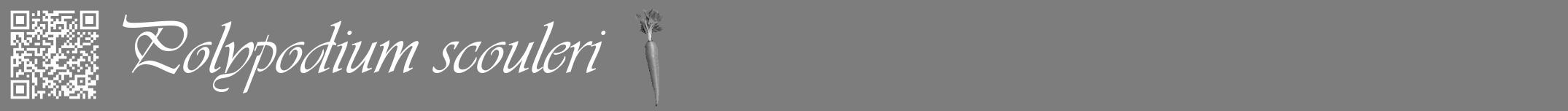 Étiquette de : Polypodium scouleri - format a - style blanche35viv avec qrcode et comestibilité simplifiée