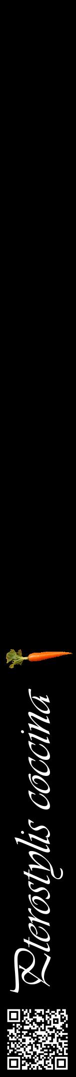 Étiquette de : Pterostylis coccina - format a - style blanche59viv avec qrcode et comestibilité simplifiée