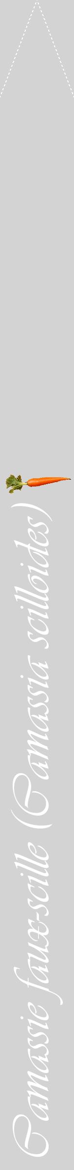 Étiquette de : Camassia scilloides - format b - style blanche56viv avec comestibilité simplifiée