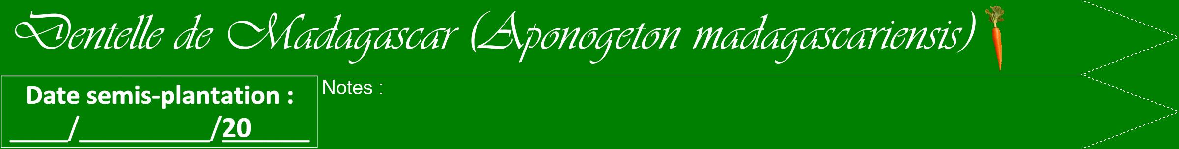 Étiquette de : Aponogeton madagascariensis - format b - style blanche9simpleviv avec comestibilité simplifiée