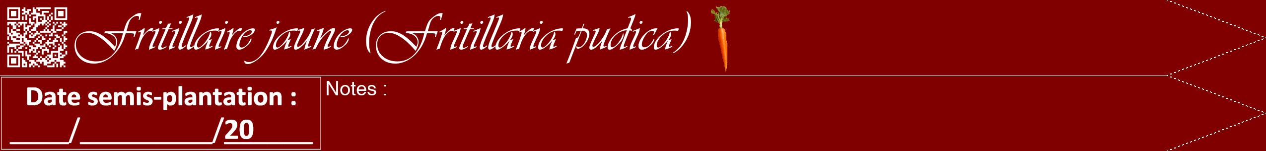 Étiquette de : Fritillaria pudica - format b - style blanche29viv avec qrcode et comestibilité simplifiée