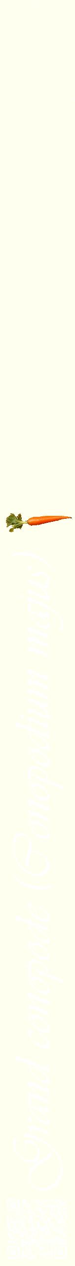 Étiquette de : Conopodium majus - format b - style blanche19viv avec qrcode et comestibilité simplifiée