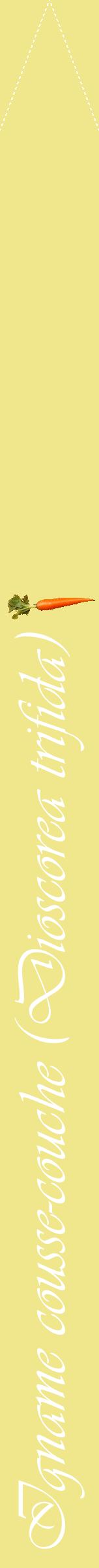 Étiquette de : Dioscorea trifida - format b - style blanche20viv avec comestibilité simplifiée