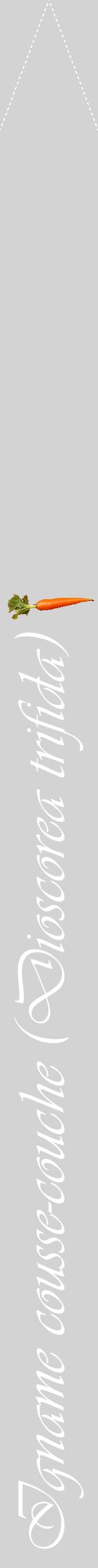 Étiquette de : Dioscorea trifida - format b - style blanche56viv avec comestibilité simplifiée