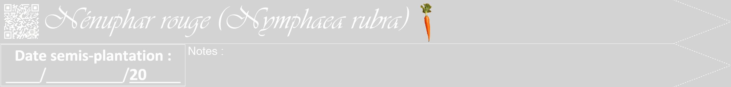 Étiquette de : Nymphaea rubra - format b - style blanche56viv avec qrcode et comestibilité simplifiée