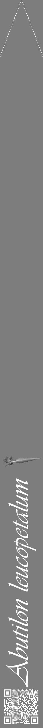Étiquette de : Abutilon leucopetalum - format b - style blanche35viv avec qrcode et comestibilité simplifiée - position verticale