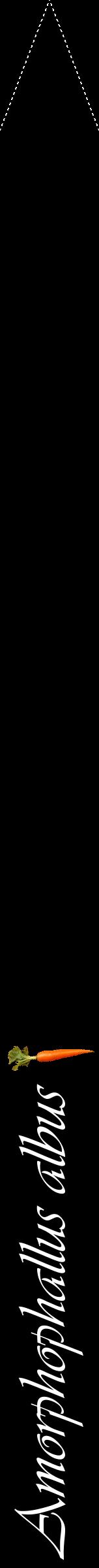 Étiquette de : Amorphophallus albus - format b - style blanche59viv avec comestibilité simplifiée