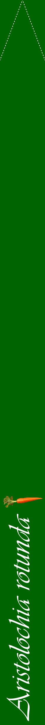 Étiquette de : Aristolochia rotunda - format b - style blanche8viv avec comestibilité simplifiée