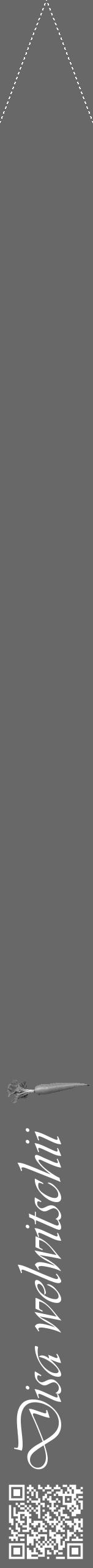 Étiquette de : Disa welwitschii - format b - style blanche43viv avec qrcode et comestibilité simplifiée - position verticale