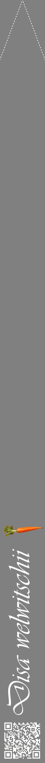 Étiquette de : Disa welwitschii - format b - style blanche57viv avec qrcode et comestibilité simplifiée
