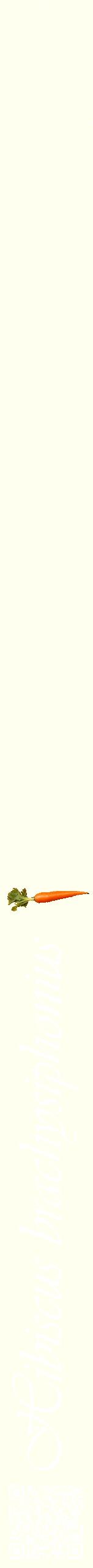 Étiquette de : Hibiscus brachysiphonius - format b - style blanche19viv avec qrcode et comestibilité simplifiée
