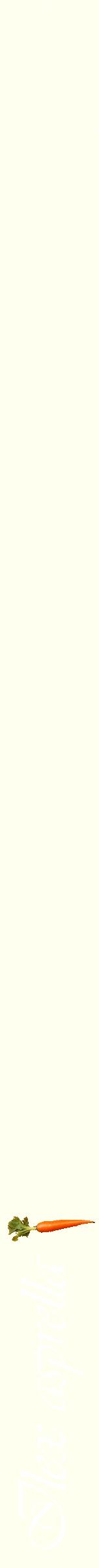 Étiquette de : Ilex asprella - format b - style blanche19viv avec comestibilité simplifiée