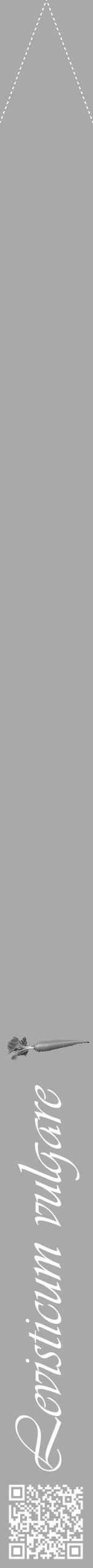 Étiquette de : Levisticum vulgare - format b - style blanche13viv avec qrcode et comestibilité simplifiée - position verticale