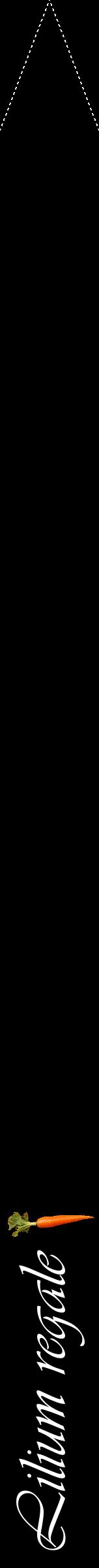 Étiquette de : Lilium regale - format b - style blanche59viv avec comestibilité simplifiée