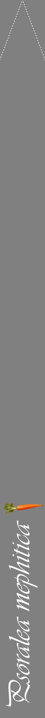 Étiquette de : Psoralea mephitica - format b - style blanche57viv avec comestibilité simplifiée