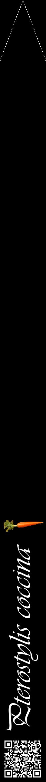 Étiquette de : Pterostylis coccina - format b - style blanche59viv avec qrcode et comestibilité simplifiée