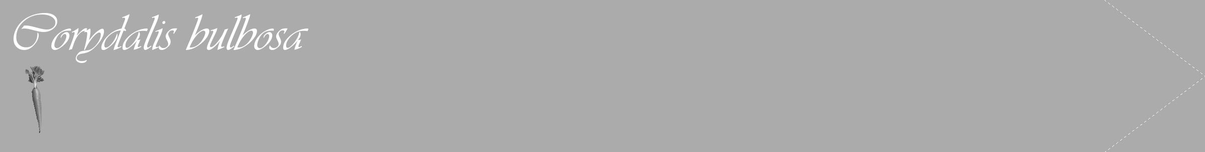 Étiquette de : Corydalis bulbosa - format c - style blanche37_simple_simpleviv avec comestibilité simplifiée