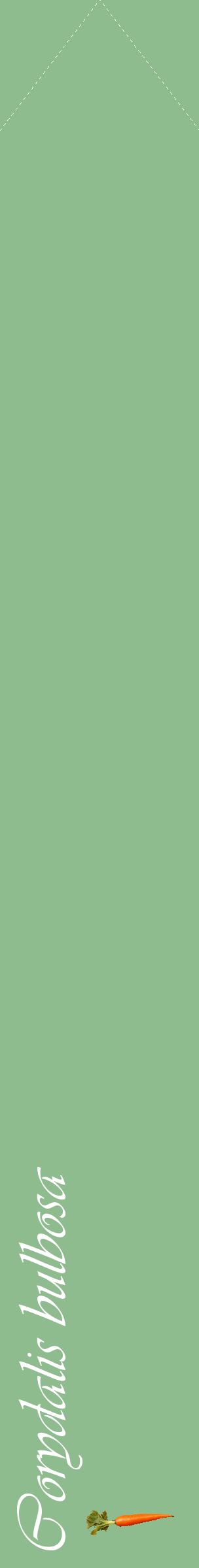 Étiquette de : Corydalis bulbosa - format c - style blanche13_simpleviv avec comestibilité simplifiée
