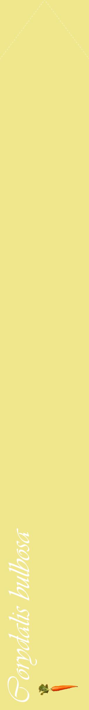 Étiquette de : Corydalis bulbosa - format c - style blanche20_simpleviv avec comestibilité simplifiée